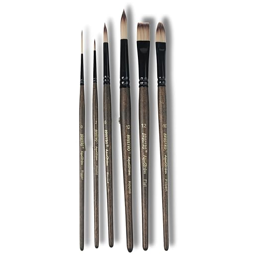 Brustro AquaStrokes Artist Brushes | Set of 6 | - TULIP N TURTLE