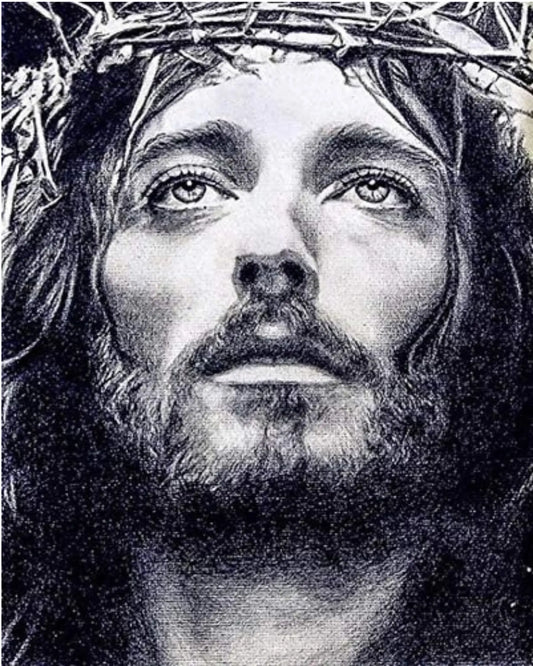 CHRIST DIY Acrylic Painting by Numbers Kit on Canvas… Tulip n Turtle