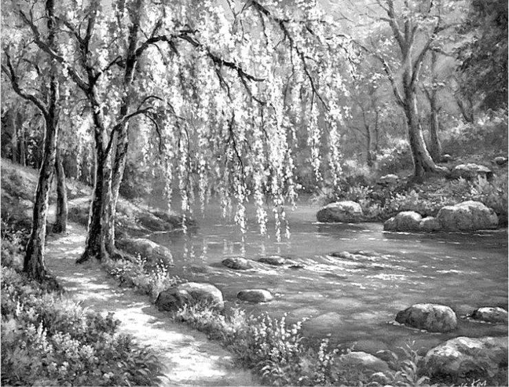 DROOPING DIY Acrylic Painting by Numbers Kit on Canvas Deepan Enterprises