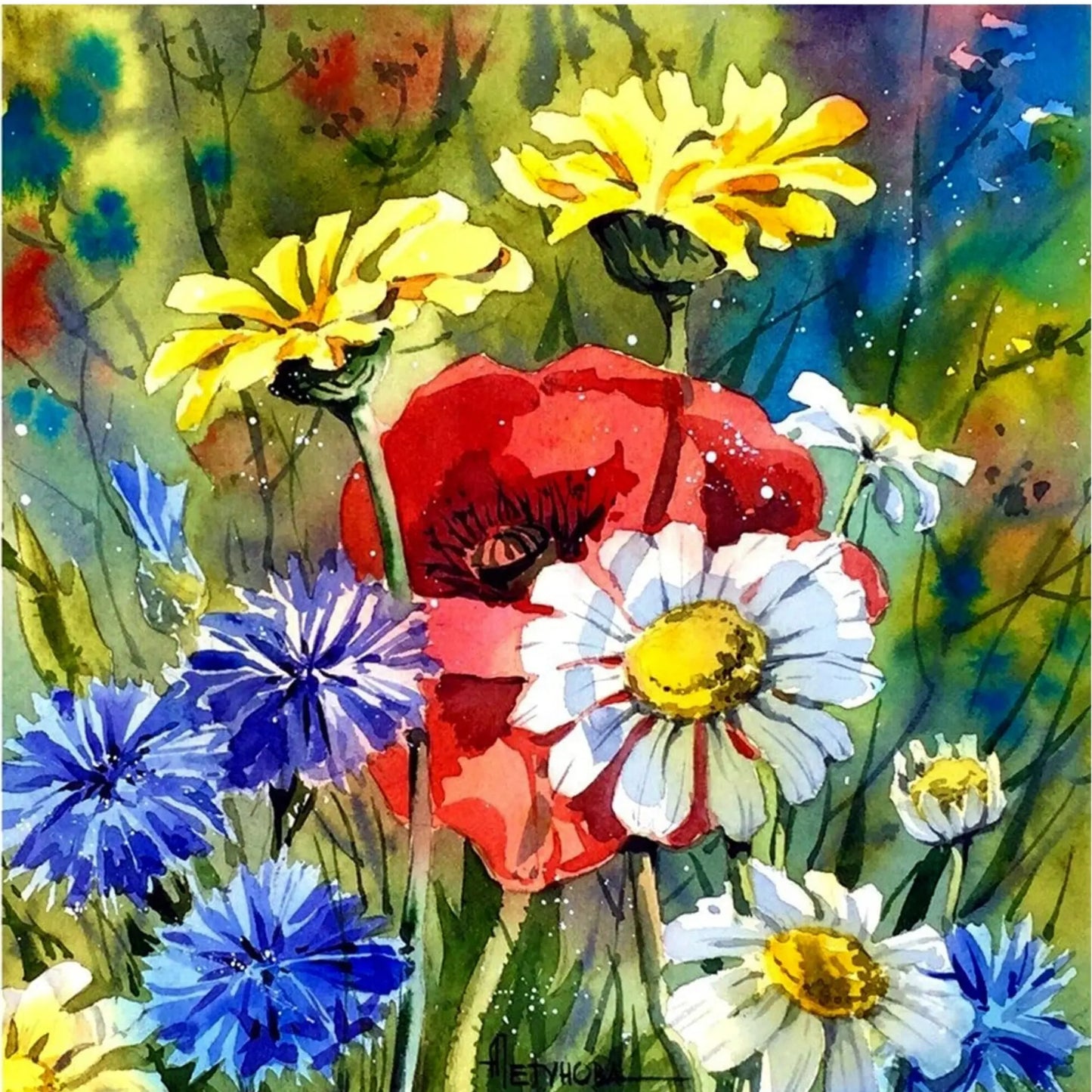 FLORAL SPECTRUM DIY Acrylic Painting by Numbers Kit on Canvas - TULIP N TURTLE