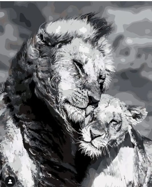 LION DIY Acrylic Painting by Numbers Kit on Canvas… Tulip n Turtle