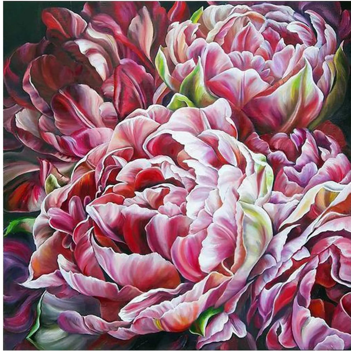 Queen of Garden DIY Acrylic Painting by Numbers Kit on Canvas… - TULIP N TURTLE