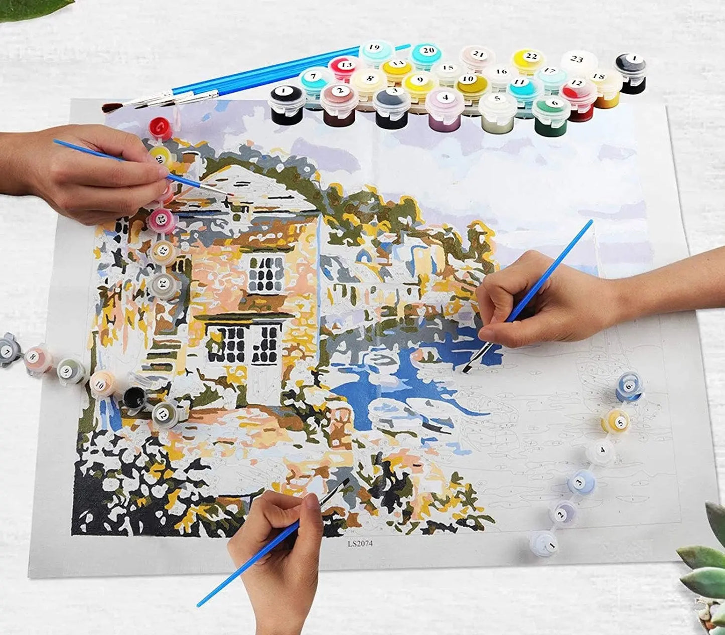 Queen of Garden DIY Acrylic Painting by Numbers Kit on Canvas… - TULIP N TURTLE