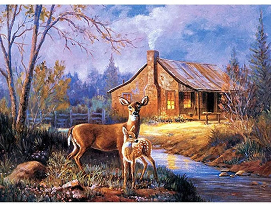 WILD DIY Acrylic Painting by Numbers Kit on Canvas Deepan Enterprises