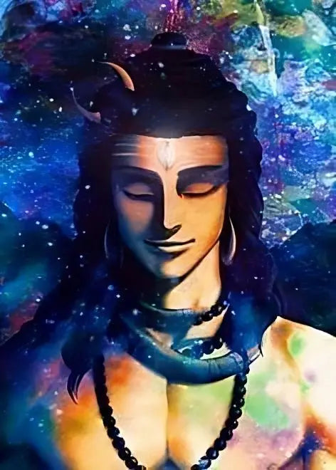 Lord Shiva DIY Acrylic Painting by Numbers Kit on Canvas… Tulip n Turtle