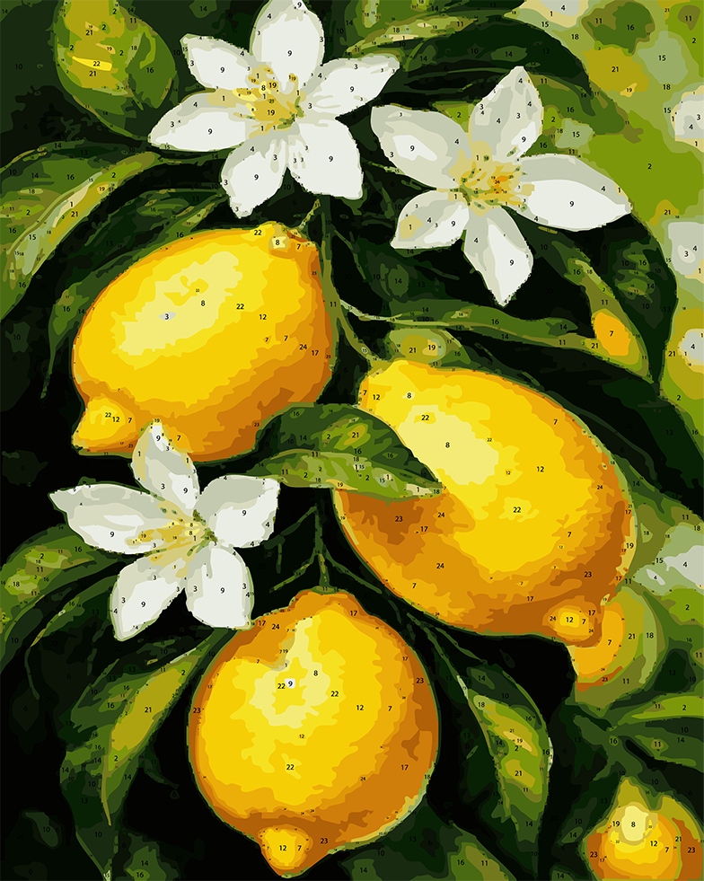 Pre Order 09 DIY Acrylic Painting by Numbers Kit on Canvas 40 50 cm 24 colours Deepan Enterprises