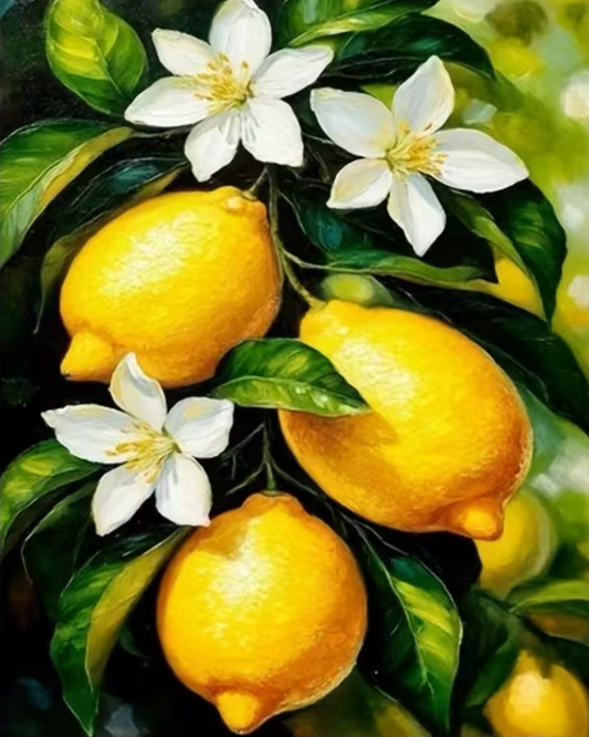 Pre Order 09 DIY Acrylic Painting by Numbers Kit on Canvas 40 50 cm 24 colours Deepan Enterprises