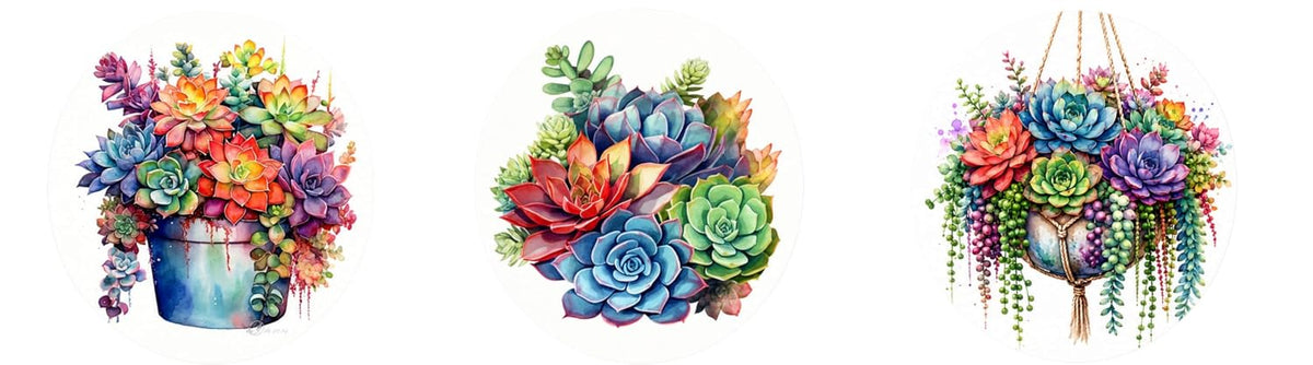 TULIP N TURTLE Hydrangea DIY Acrylic Paint by Number Kit. Set of Three Framed Paint by Number kit.  25 cm Diameter each.