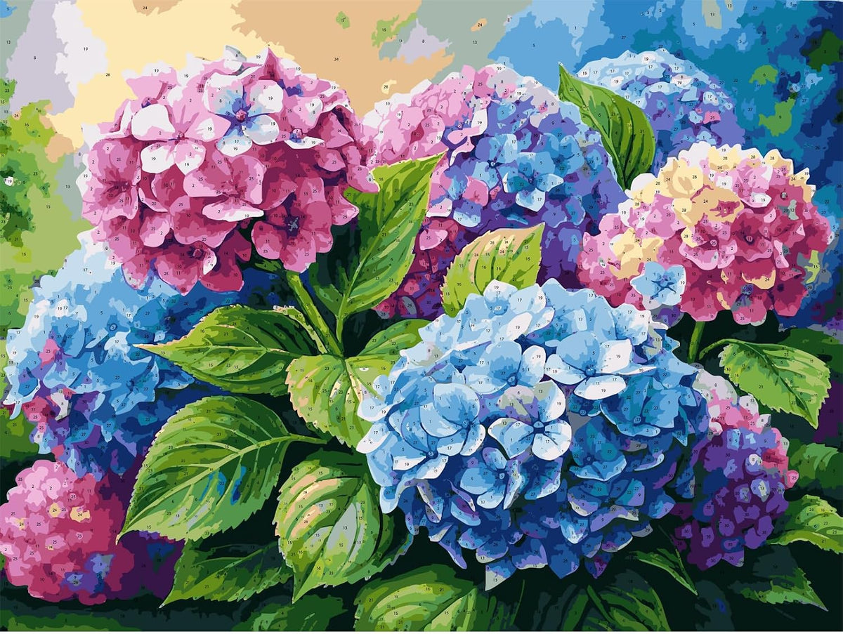 TULIP N TURTLE Hydrageans Signature Series 48 colours Large size 85 cm * 64 cm rolled canvas DIY Acrylic Paint by Number Kit