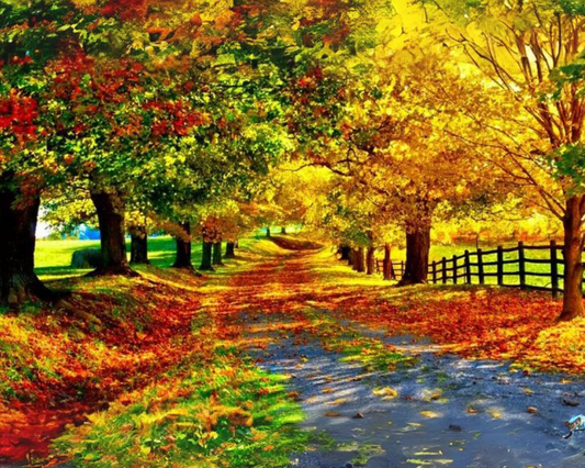 AUTUMN DIY Acrylic Painting by Numbers Kit on Canvas…