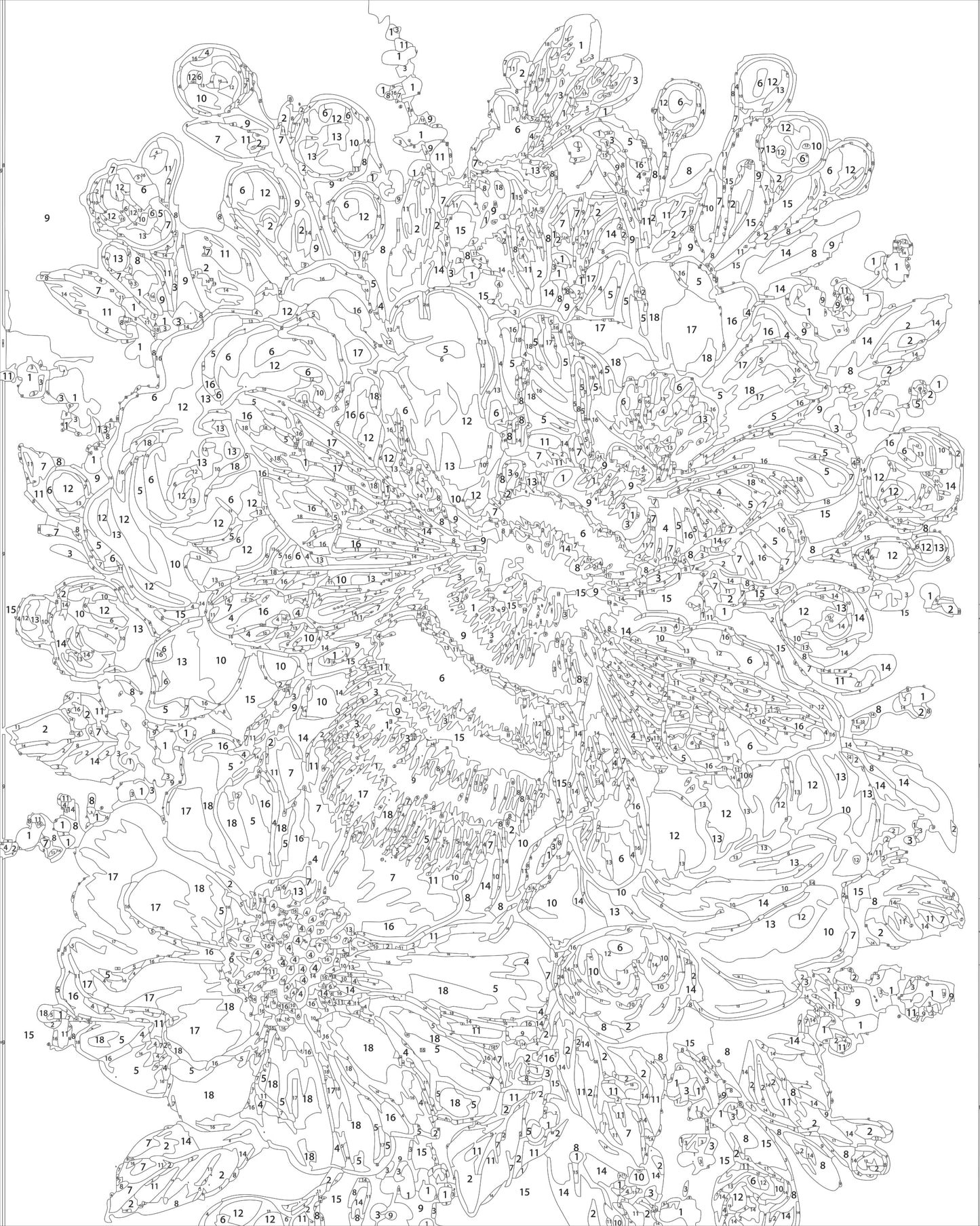 Pre Order 01 DIY Acrylic Painting by Numbers Kit on Canvas 40 50 cm 18 colours Deepan Enterprises