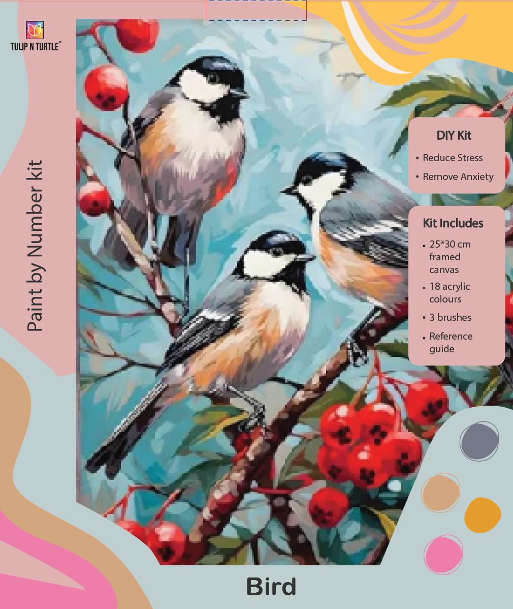 TRIO Framed DIY Acrylic Paint by Number Kit 18 colour 25cm*30cm Deepan Enterprises