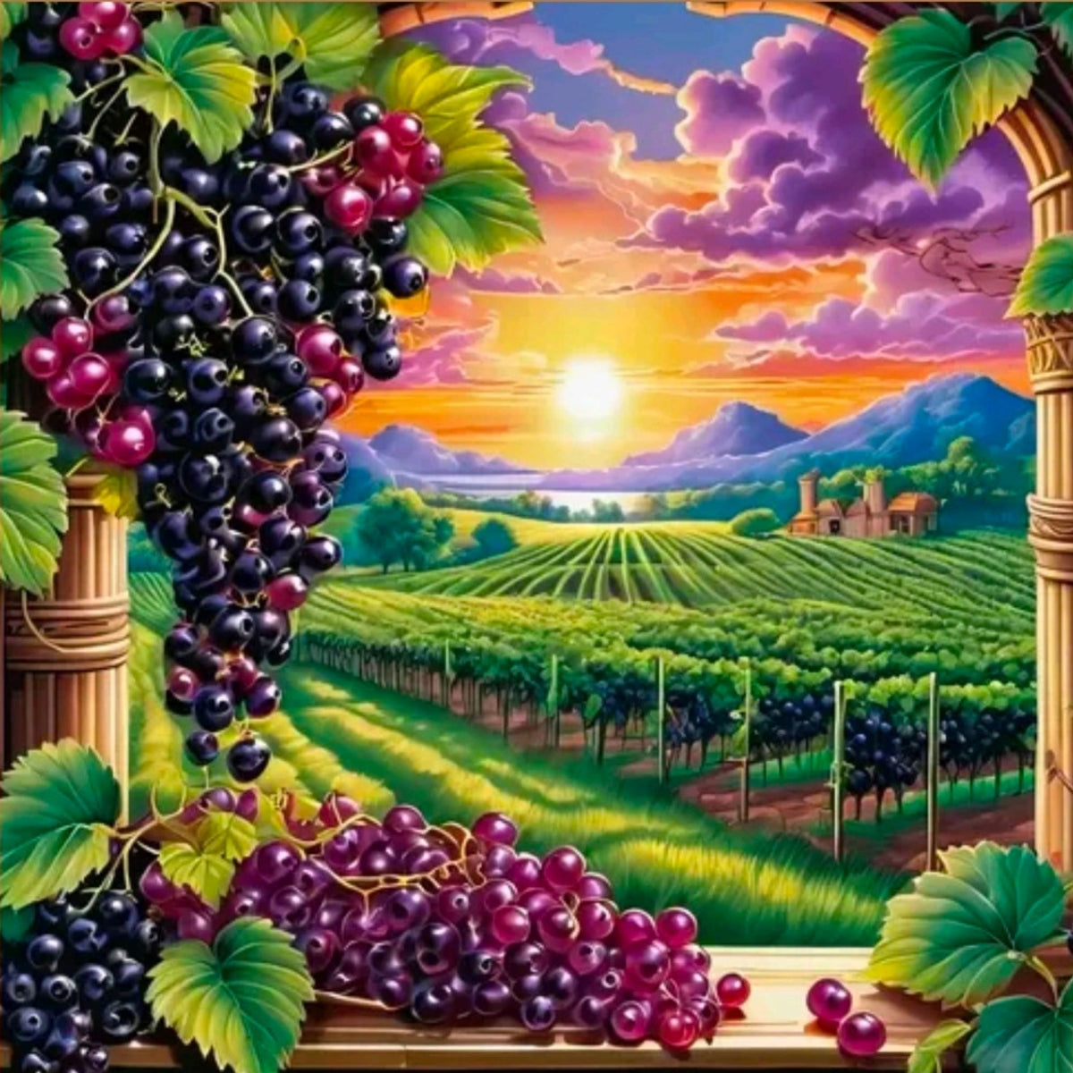 VINEYARD Acrylic Painting by Numbers Kit on Canvas.