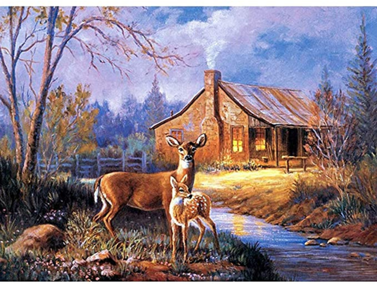 WILD DIY Acrylic Painting by Numbers Kit on Canvas